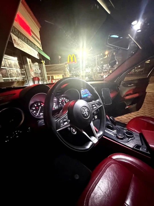 2019 Alfa Romeo Stelvio - Image 15 of 16