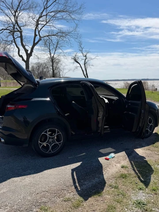 2019 Alfa Romeo Stelvio - Image 7 of 11
