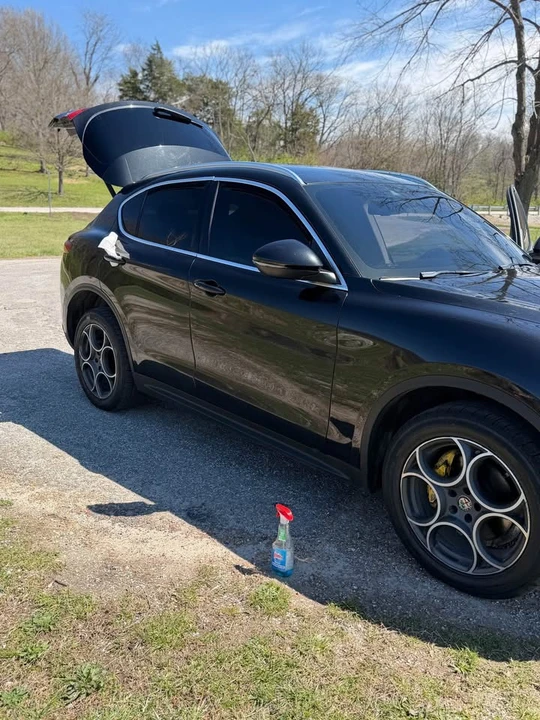 2019 Alfa Romeo Stelvio - Image 5 of 11