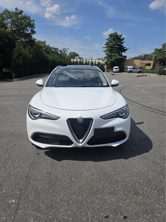 2019 Alfa Romeo Stelvio - Image 10 of 11