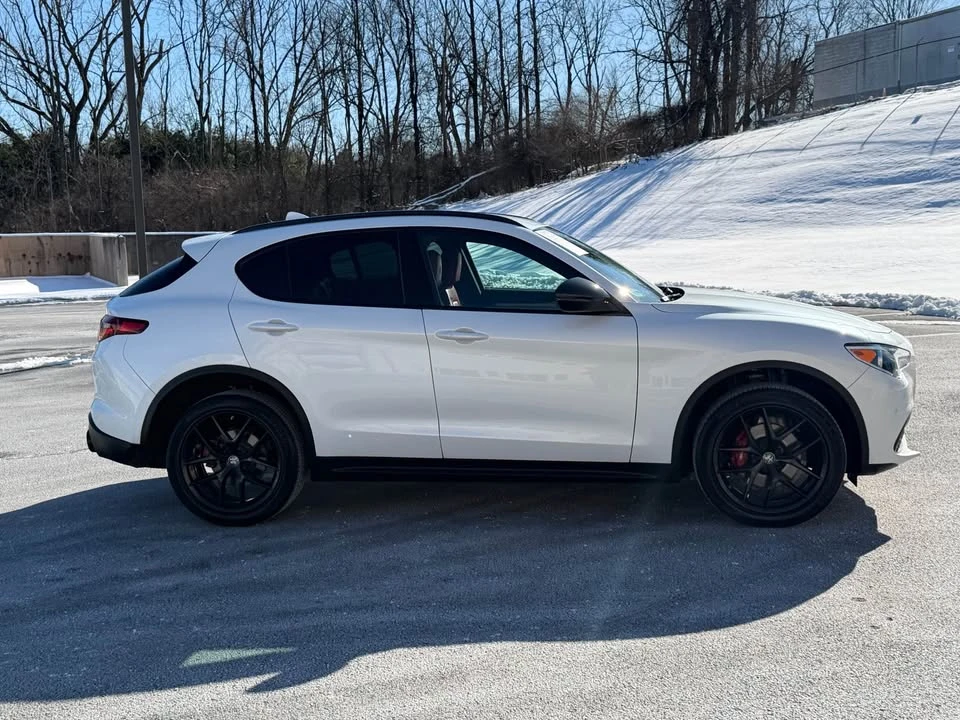 2019 Alfa Romeo Stelvio - Image 7 of 19