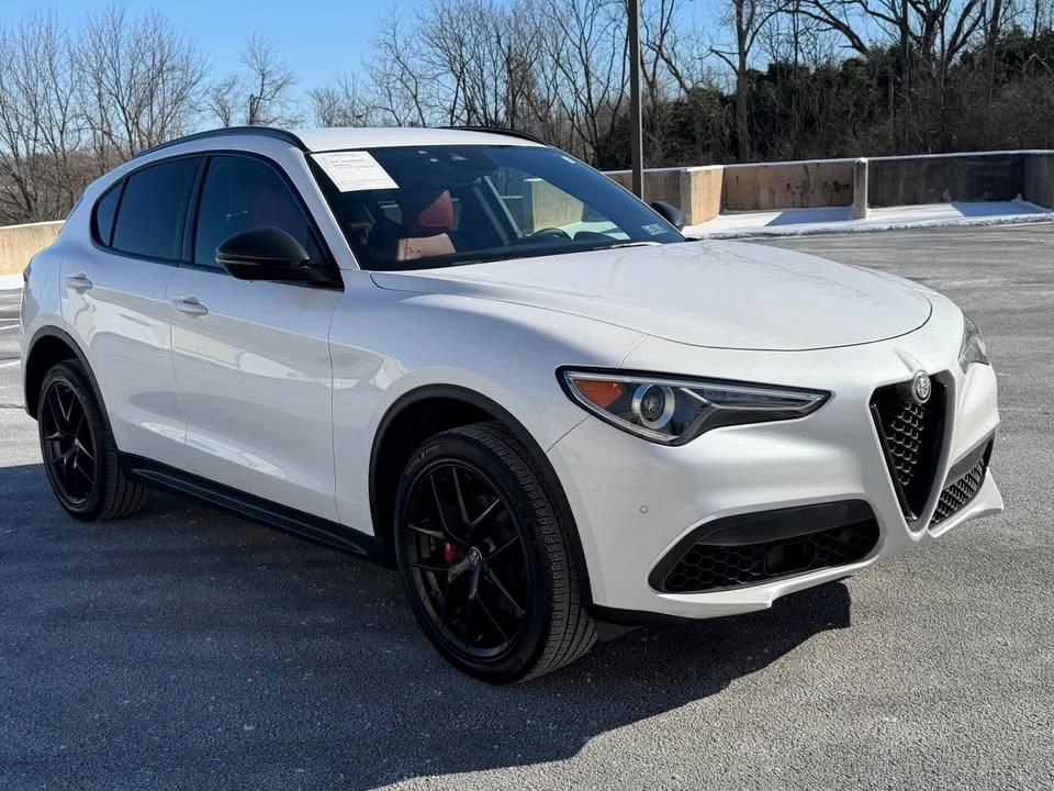 2019 Alfa Romeo Stelvio - Image 4 of 19