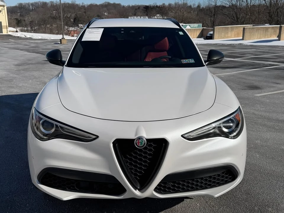 2019 Alfa Romeo Stelvio - Image 5 of 19
