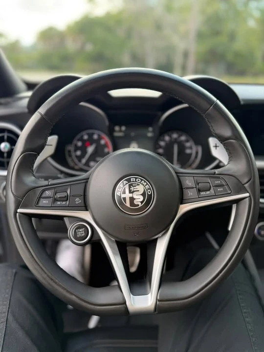 2019 Alfa Romeo Stelvio - Image 16 of 16