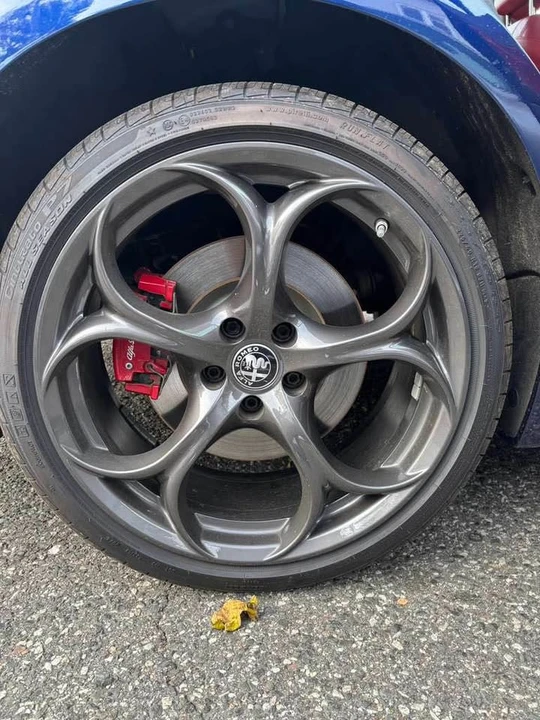 2019 Alfa Romeo Giulia - Image 11 of 20