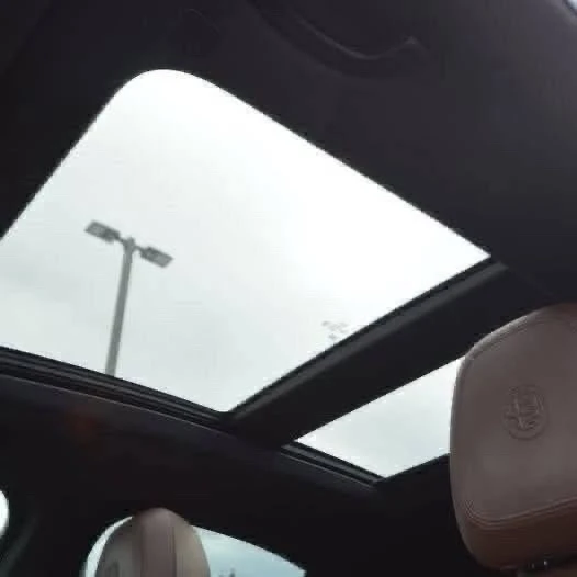 2019 Alfa Romeo Stelvio - Image 14 of 19