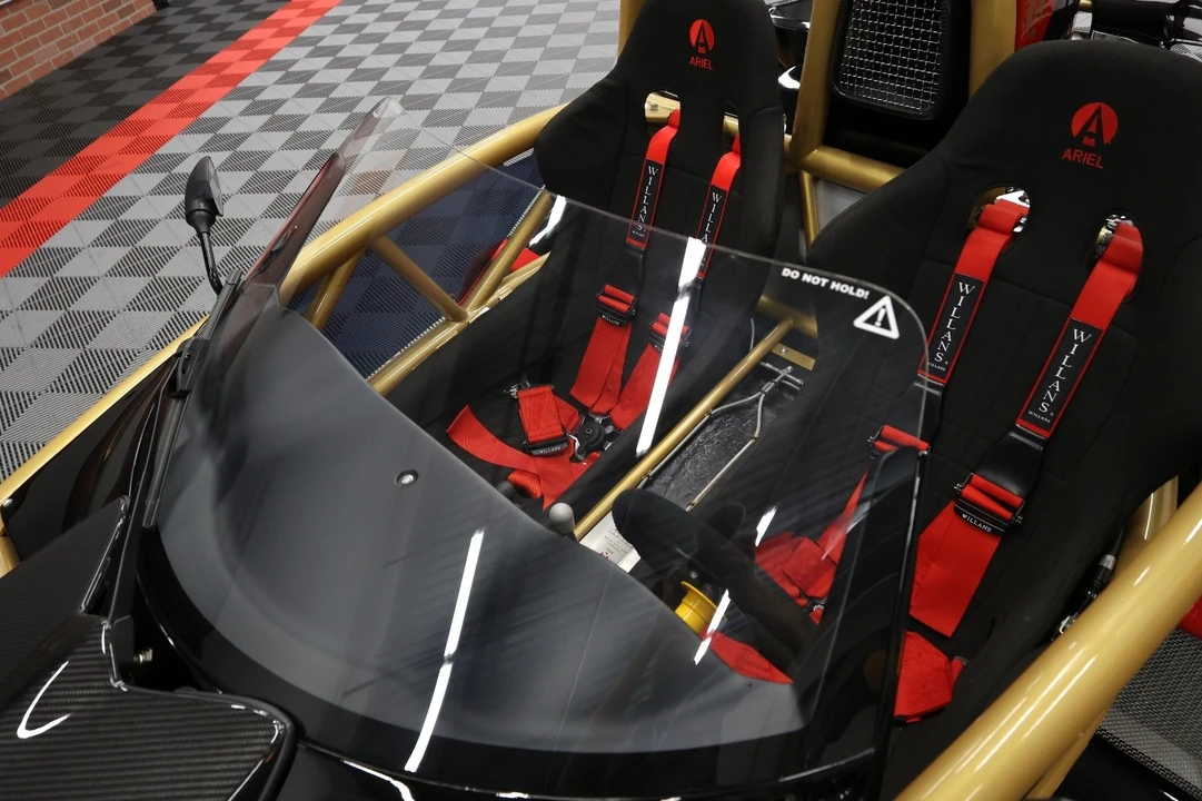 2019 Ariel Atom - Image 19 of 21