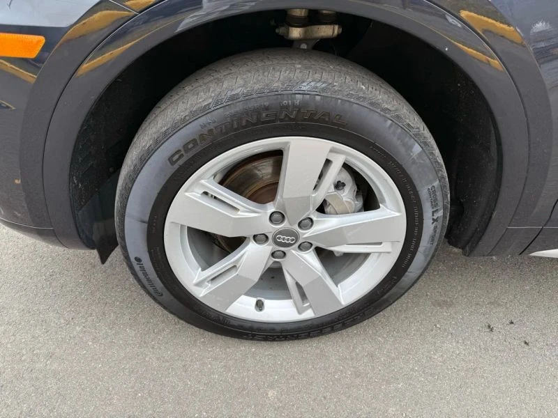 2019 Audi FY Q5 - Image 11 of 12