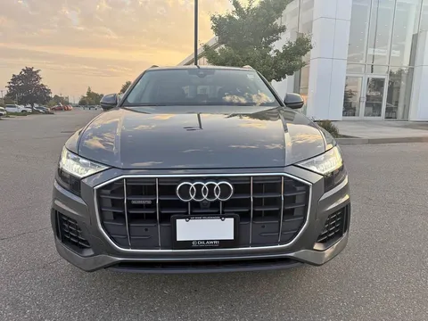 2019 Audi Q8 Technik