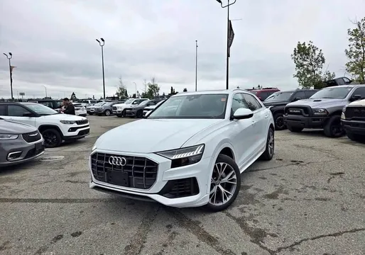 2019 Audi Q8 Technik