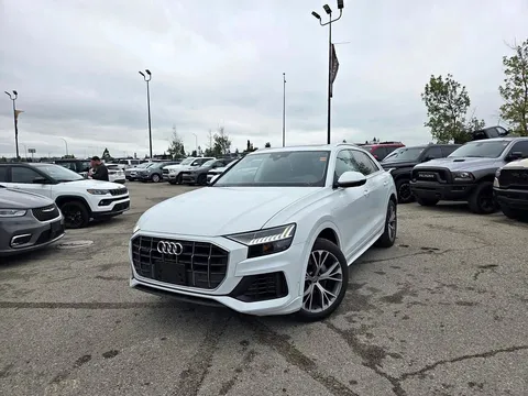 2019 Audi Q8 Technik
