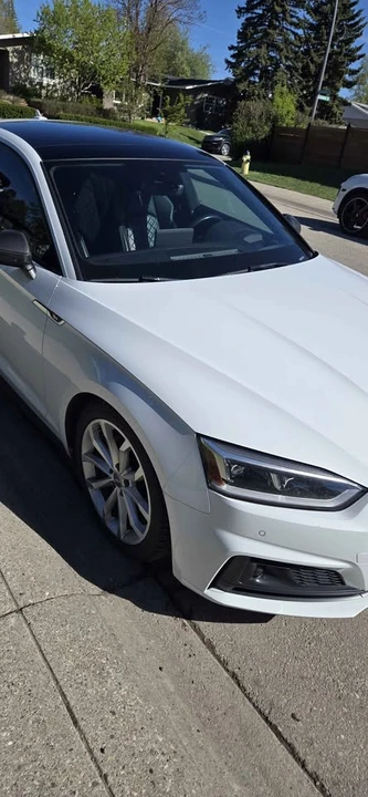 2019 Audi B9 S5 - Image 7 of 7