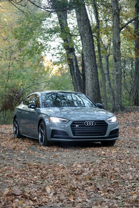 2019 Audi B9 S5 - Image 3 of 7