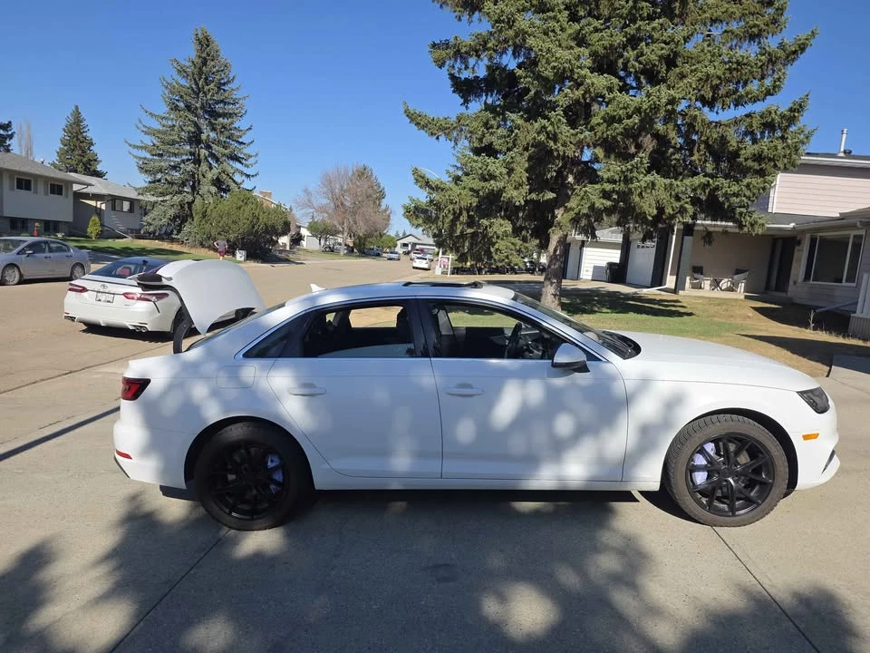 2019 Audi B9 A4 - Image 5 of 7