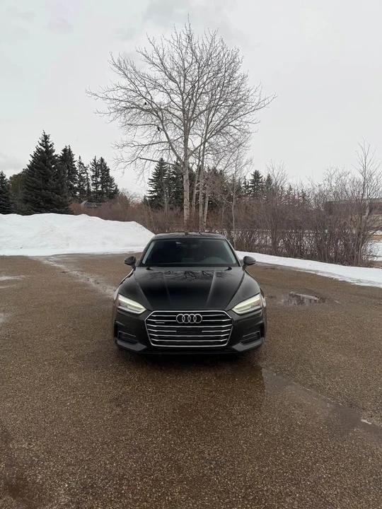 2019 Audi B9 A5 - Image 6 of 12