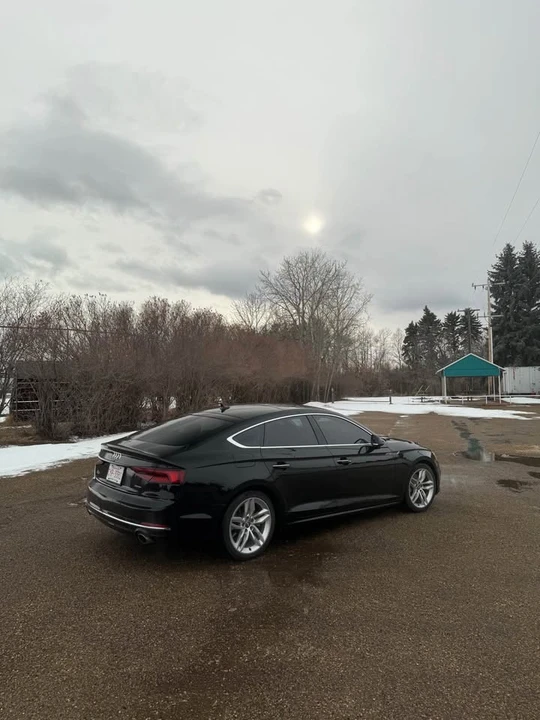 2019 Audi B9 A5 - Image 2 of 12