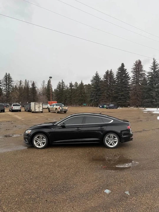 2019 Audi B9 A5 - Image 7 of 12