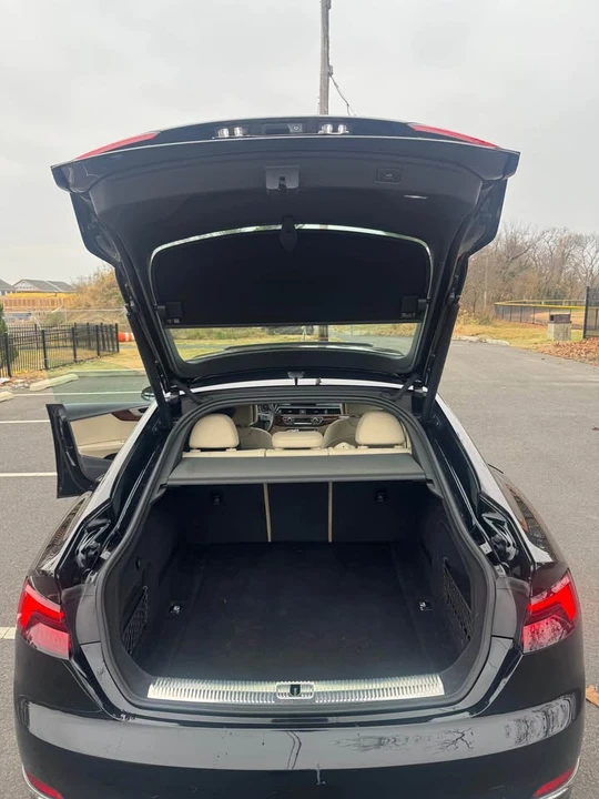 2019 Audi B9 RS5 - Image 15 of 15
