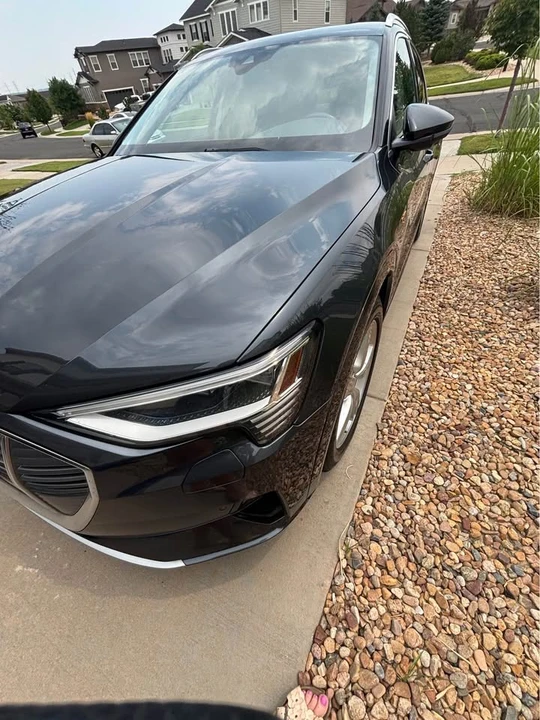 2019 Audi e-tron - Image 14 of 20