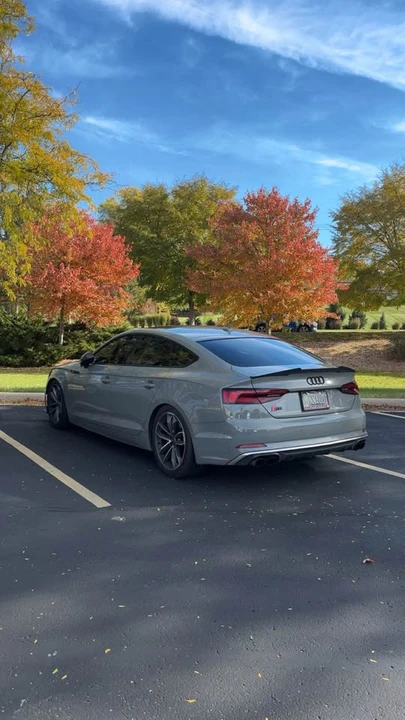 2019 Audi B9 S5 - Image 16 of 16