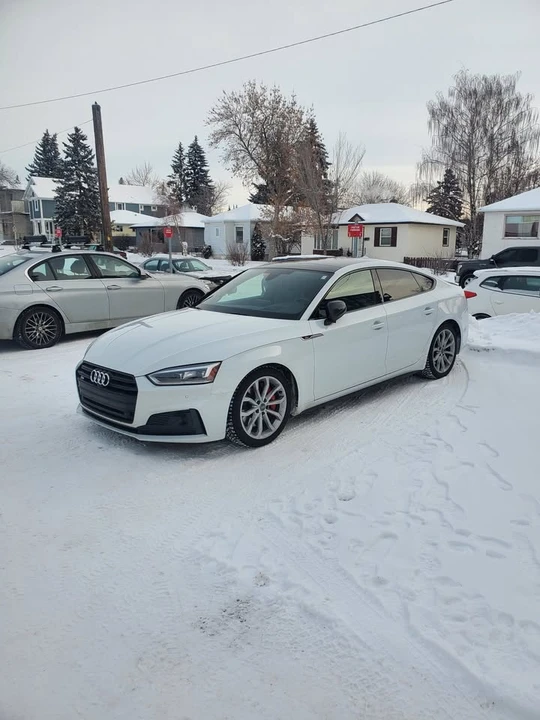 2019 Audi B9 S5 - Image 16 of 17