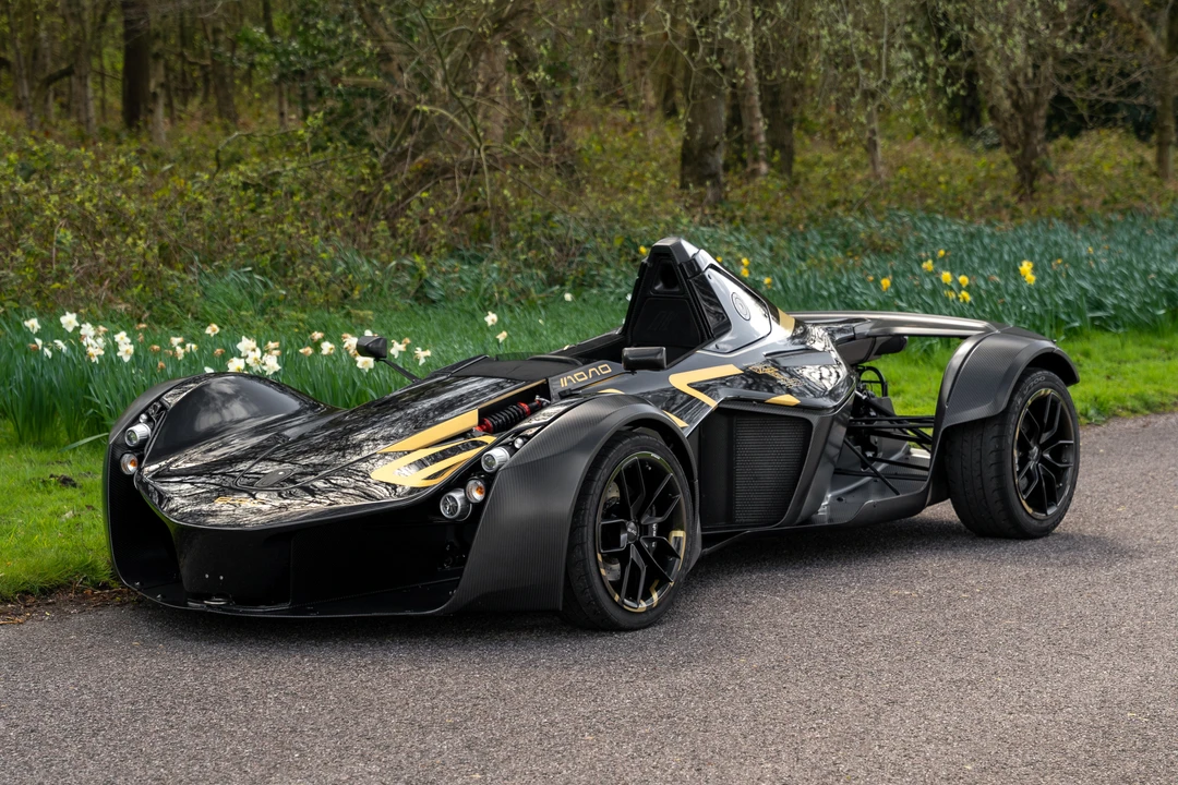 2019 BAC Mono - Image 2 of 31