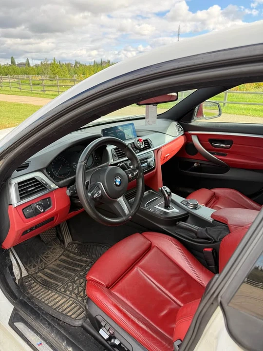 2019 BMW 4 Series - Image 8 of 20