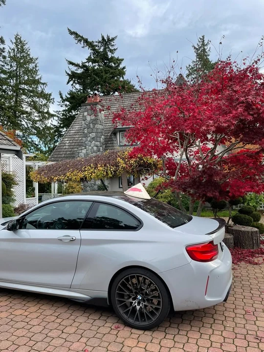 2019 BMW F87 M2 - Image 3 of 8