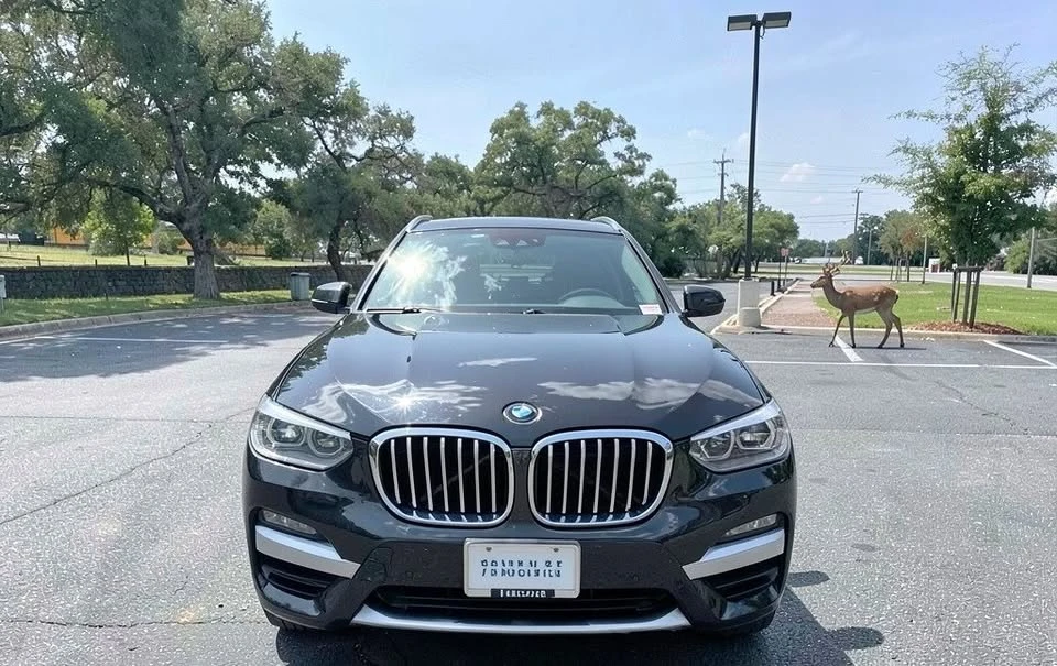 2019 BMW G01 X3 - Image 6 of 15