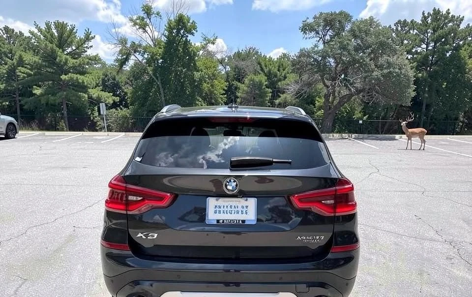2019 BMW G01 X3 - Image 2 of 15