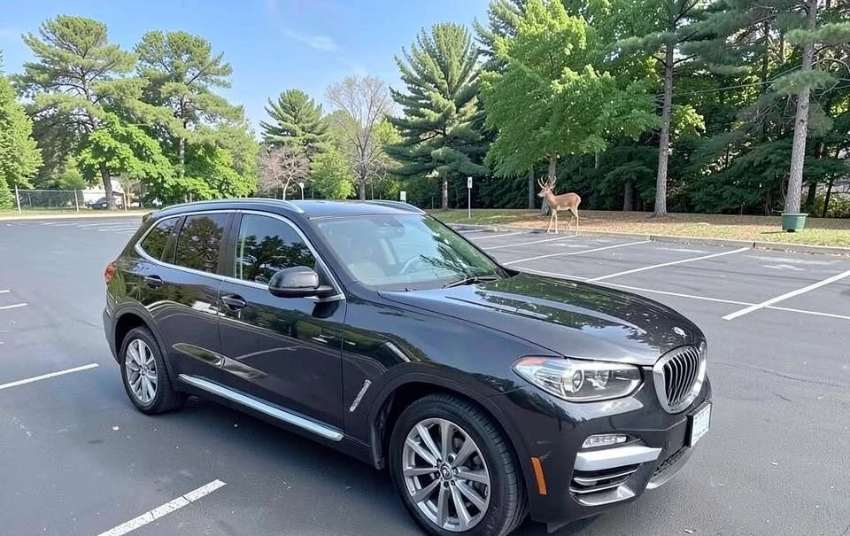 2019 BMW G01 X3 - Image 4 of 15