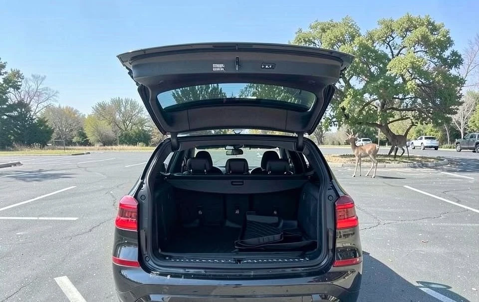2019 BMW G01 X3 - Image 3 of 15