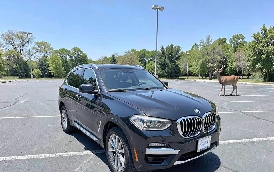 2019 BMW G01 X3 - Image 5 of 15