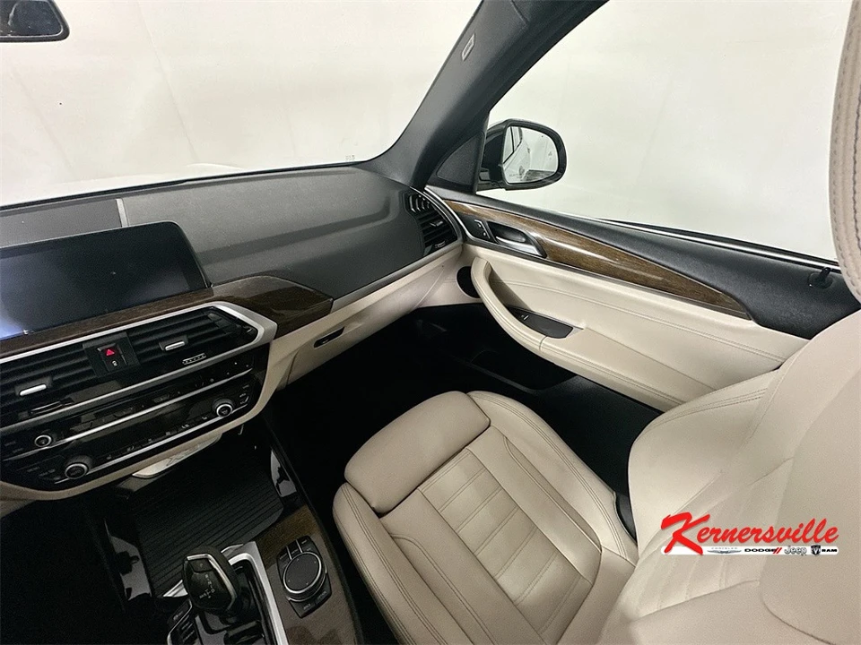 2019 BMW G01 X3 - Image 11 of 12