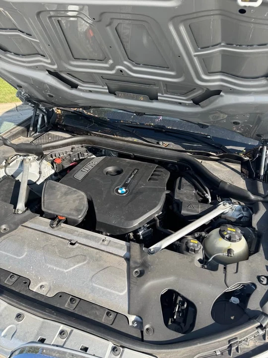 2019 BMW G01 X3 - Image 14 of 15