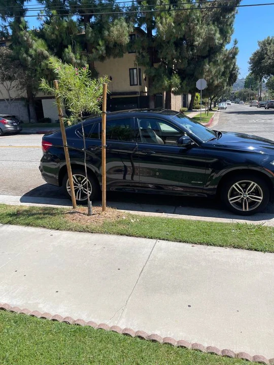 2019 BMW F16 X6 - Image 4 of 10
