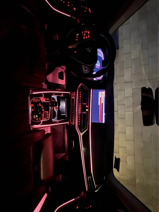 2019 BMW G07 X7 - Image 2 of 16
