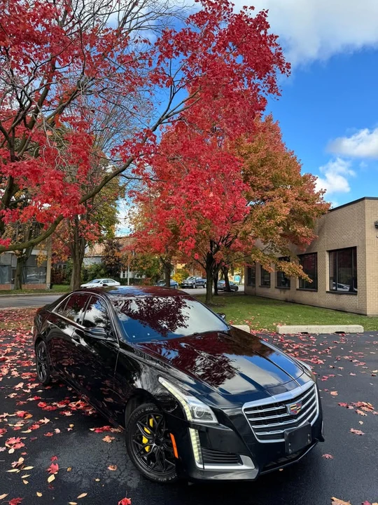 2019 Cadillac CTS 3rd Gen - Image 3 of 18