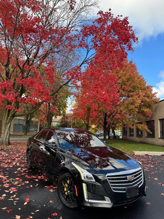 2019 Cadillac CTS 3rd Gen - Image 5 of 18