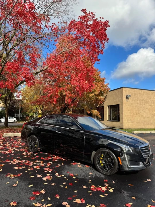 2019 Cadillac CTS 3rd Gen - Image 15 of 18