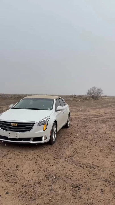 2019 Cadillac XTS - Image 7 of 7