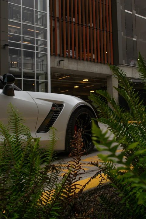 2019 Chevrolet Corvette C7 Z06 - Image 28 of 31