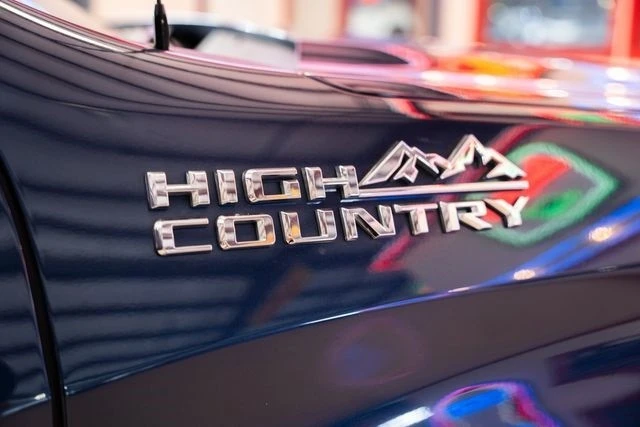 2019 Chevrolet Silverado 4th Gen - Image 10 of 21