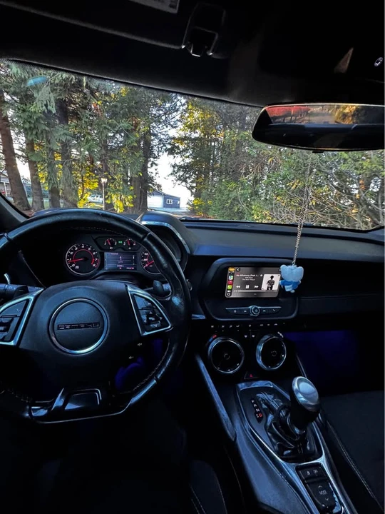 2019 Chevrolet Camaro 6th Gen - Image 17 of 17
