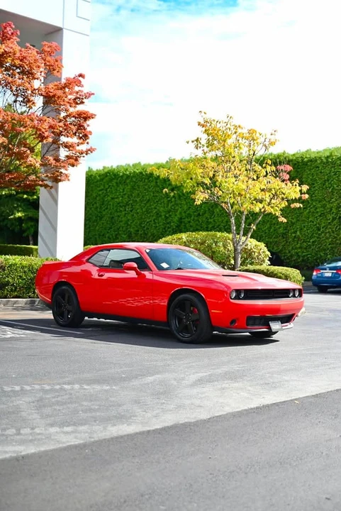2019 Dodge Challenger 3rd Gen - Image 8 of 9