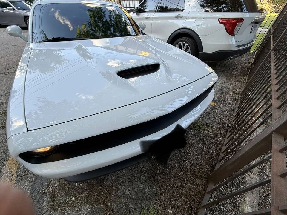 2019 Dodge Challenger 3rd Gen - Image 12 of 18