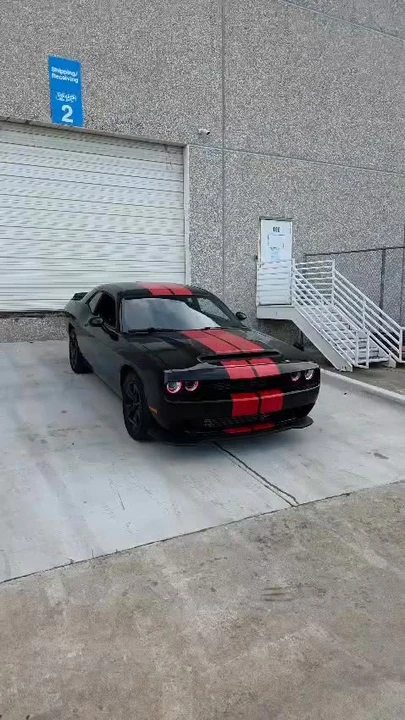 2019 Dodge Challenger 3rd Gen - Image 19 of 19
