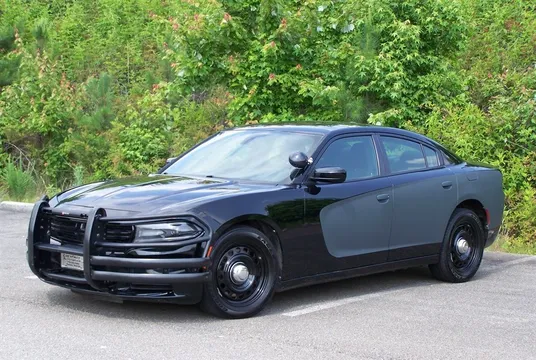 2019 Dodge Charger Pursuit