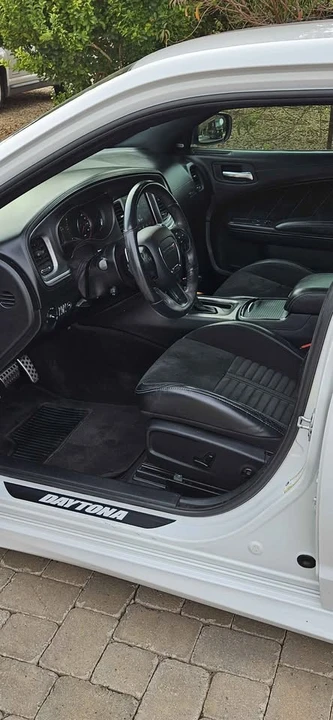 2019 Dodge Charger 7th Gen - Image 20 of 20