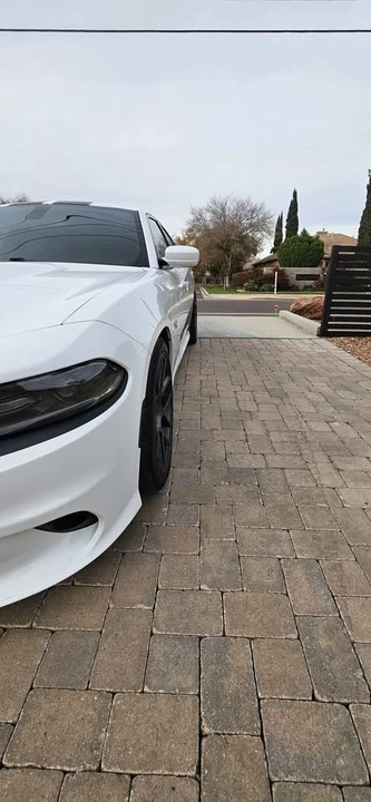 2019 Dodge Charger 7th Gen - Image 17 of 20